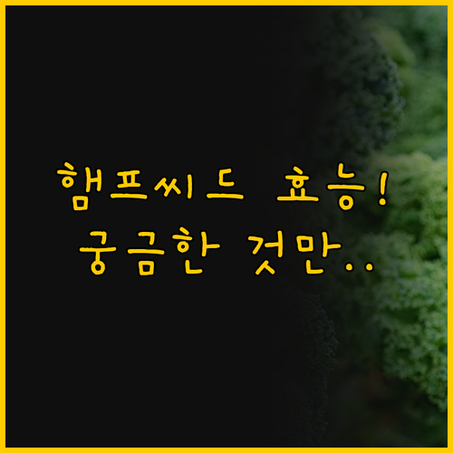 햄프씨드오일 효능 진짜 궁금한 것만 ..