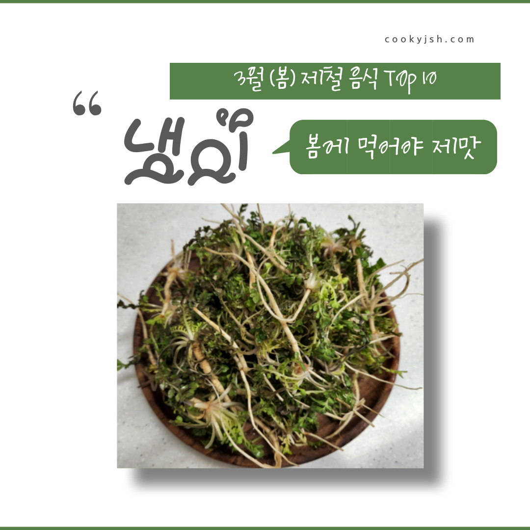 3월에 먹으면 좋은 제철 음식(봄철 음식) - 냉이편 (효능, 냉이가 들어가는 음식)