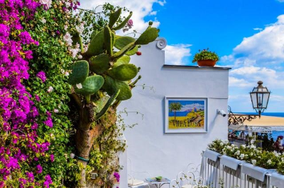 선인장 있는 정원