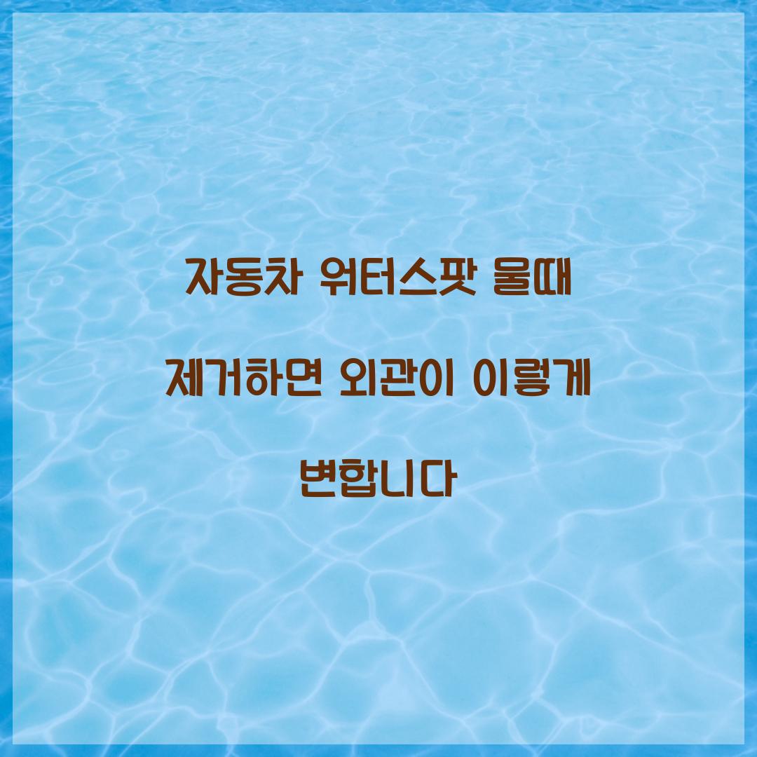 자동차 워터스팟 물때 제거하면 외관이 이렇게 변합니다