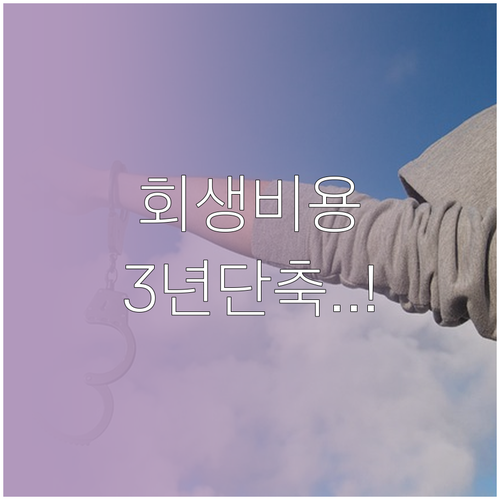 개인회생 비용 구성 및 변제 기간 3..