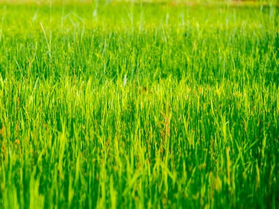 2020추석기차표예매