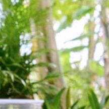 다자녀 가구 아동수당 지원 대상 포스팅 관련 이미지