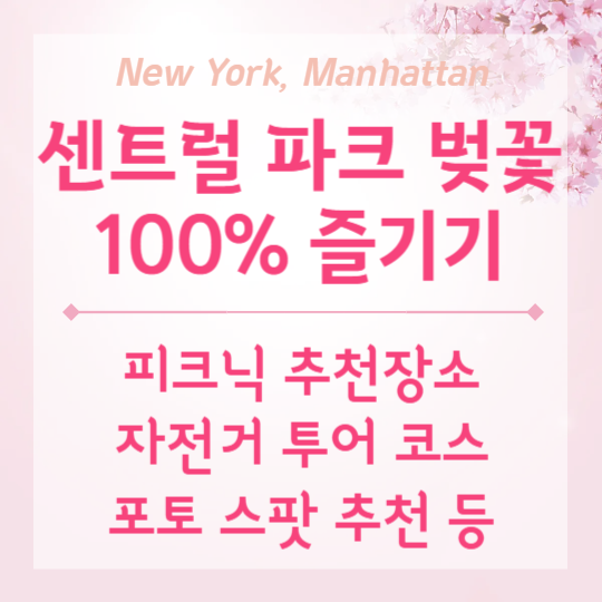 센트럴 파크 벚꽃 100% 즐기기