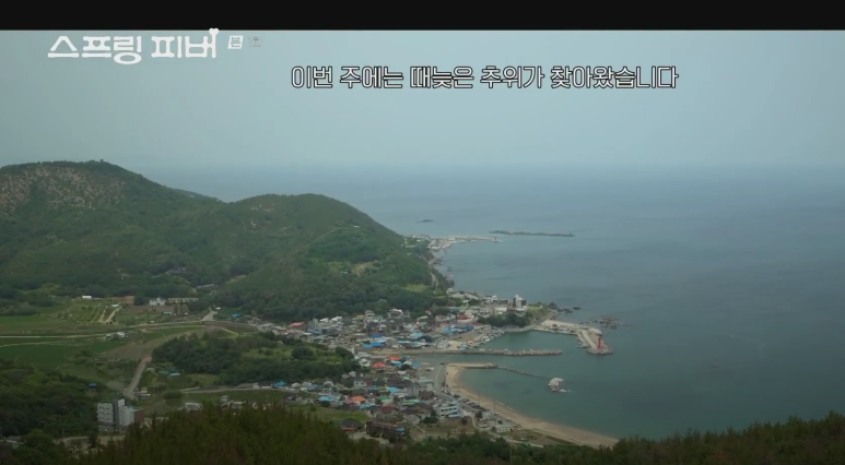 스프링-피버-촬영지-몇부작-인물관계도