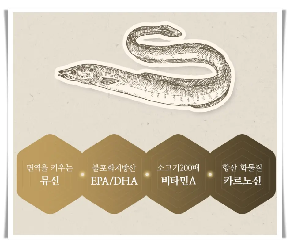 장원담 장어즙 성분