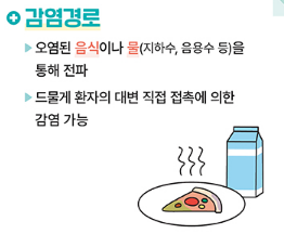 감염경로 