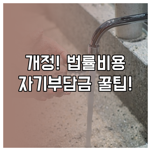 개정되는 운전자보험 법률 비용 자기부..