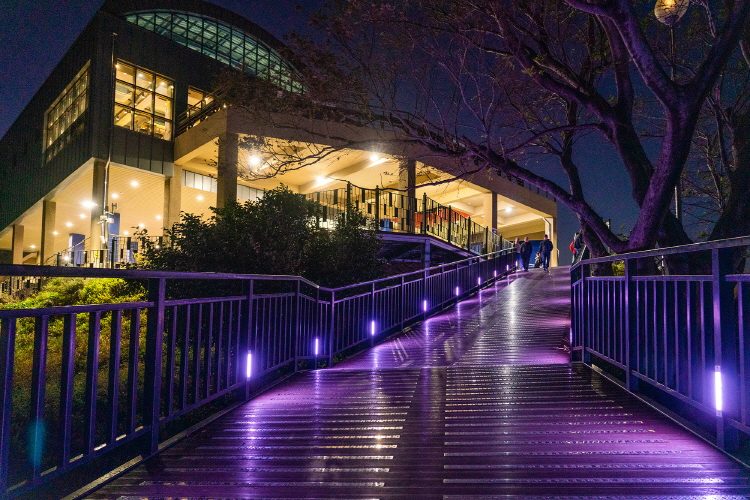 여수 케이블카 야경