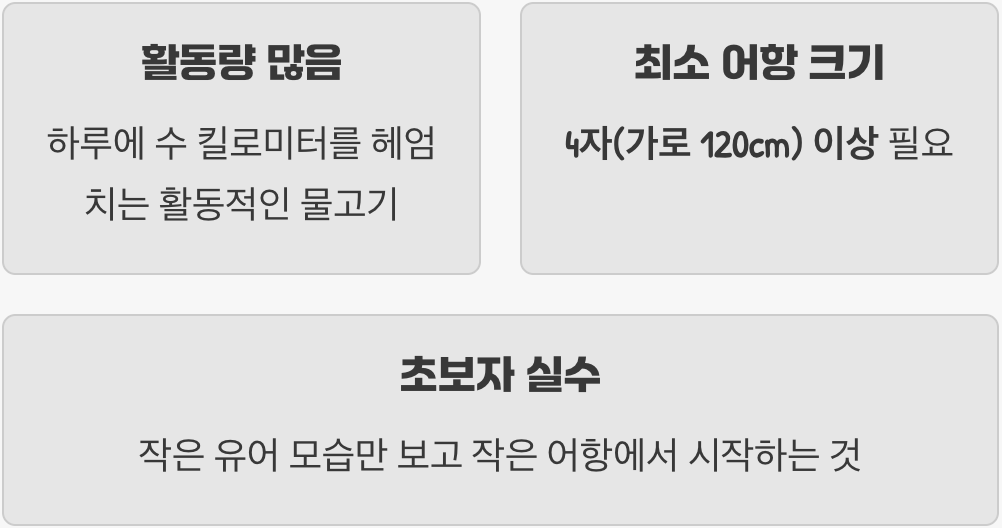 넓은 바다가 필요해요 (어항 크기)