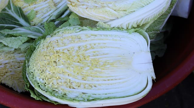 김장김치 맛있게 담는법