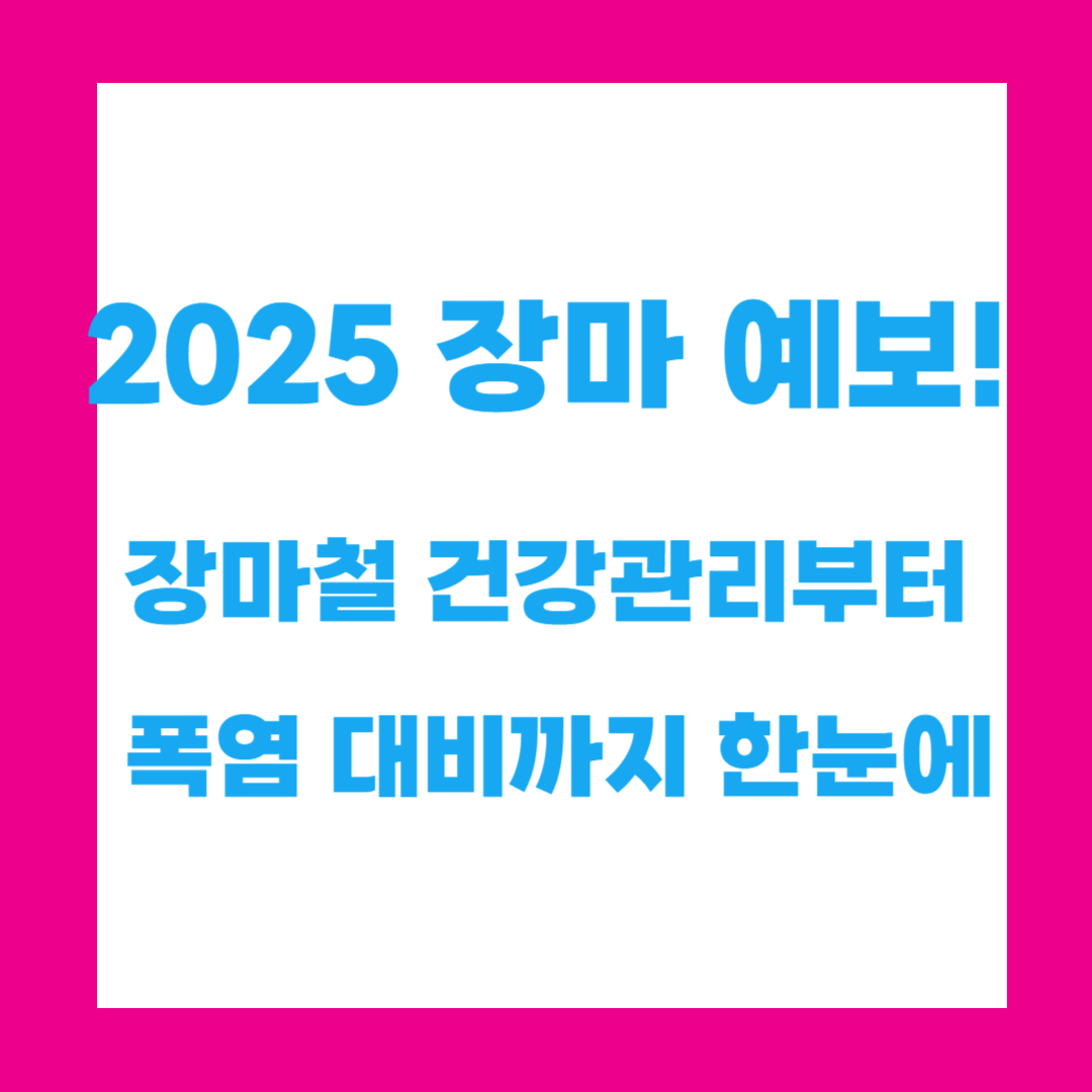 2025 장마 예보! 장마철 건강관리부터 폭염 대비까지 한눈에