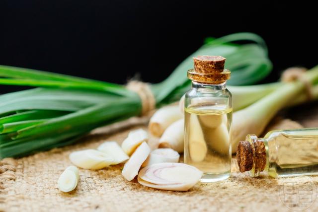 잇몸 염증 피나고 부었을때 좋은 자연치유 관리법 치은염 치료 레몬그라스 오일