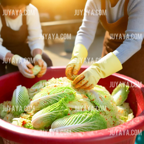 김장 중 배추에 양념을 바르는 모습 - 전통 김장 과정에서 두 명이 함께 배추에 양념을 바르고 있는 모습. 고무장갑을 착용하고 큰 빨간 양푼에 배추가 담겨 있음.