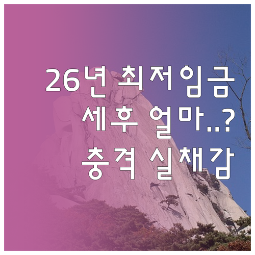 2026년 최저임금 월급 215688..