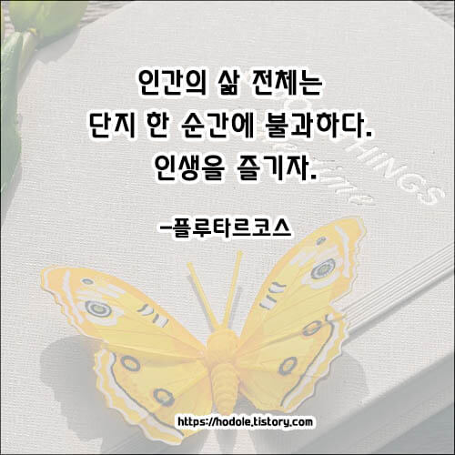 명언-글모음
