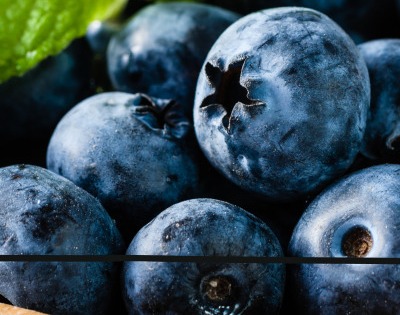 블루베리 효능 부작용