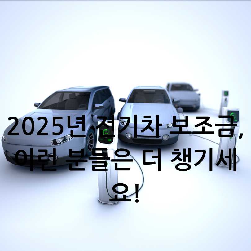2025년 전기차 보조금