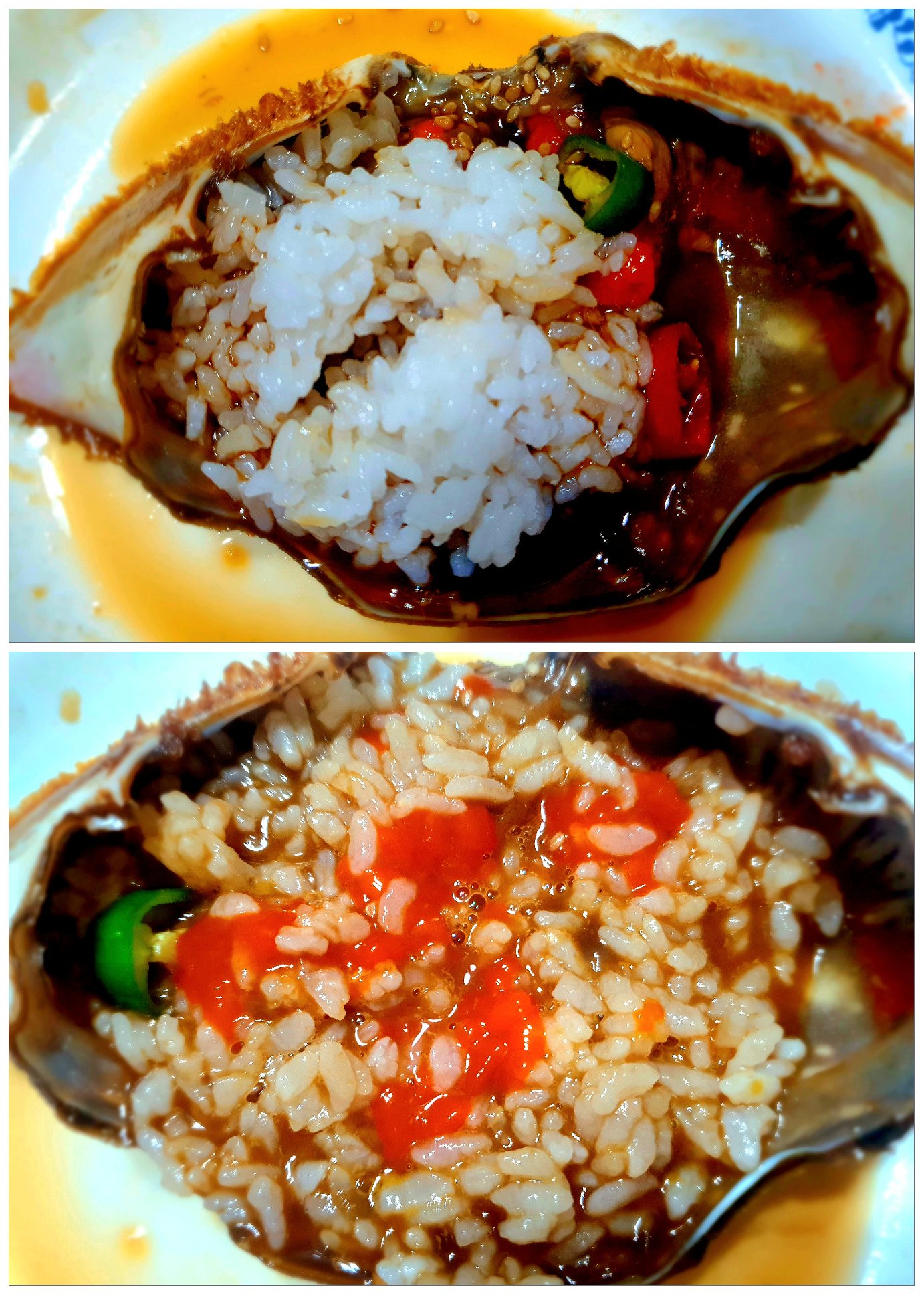 게딱지-두-개가-왔어요.