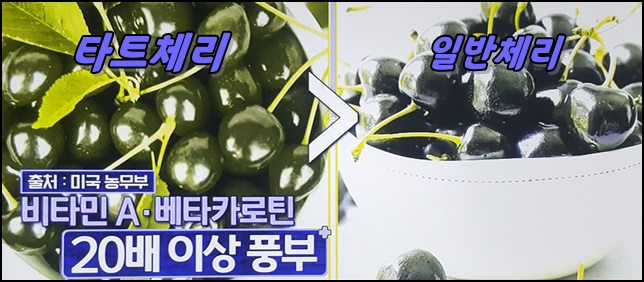 타트체리 일반체리 차이 사진입니다