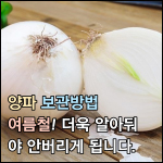 본 글의 썸네일