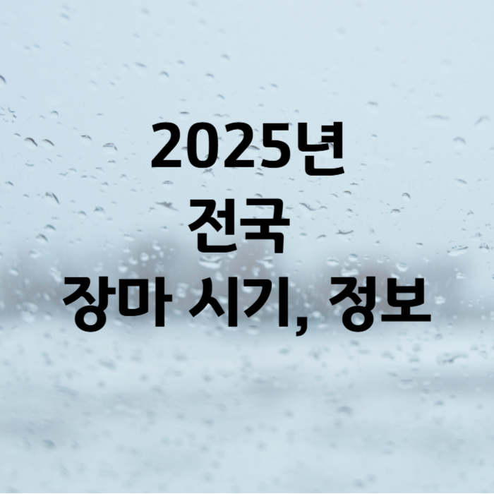 장마정보