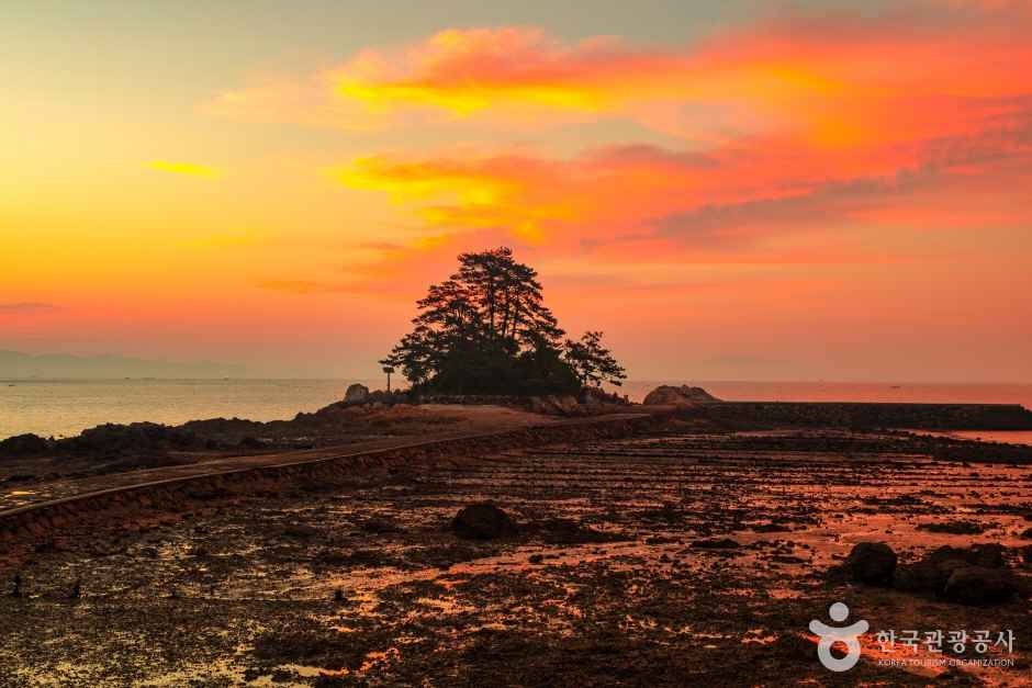 장흥 소등섬 물때 시간