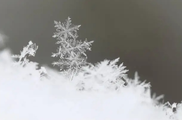 날씨 꿈 해몽 눈 꿈