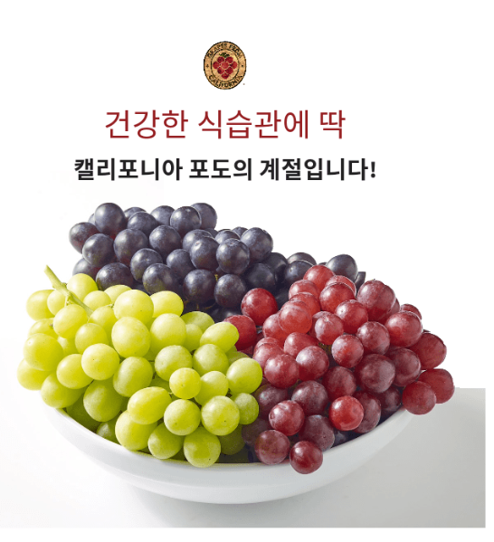 캐시워크 캘리포니아 퀴즈 썸네일