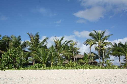 괌 여행지 동선 중 한곳인 호텔의 자연 풍경