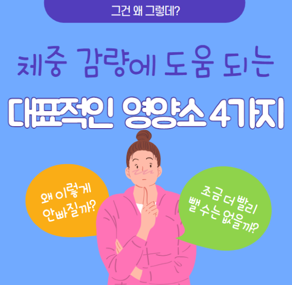 영양소 4가지