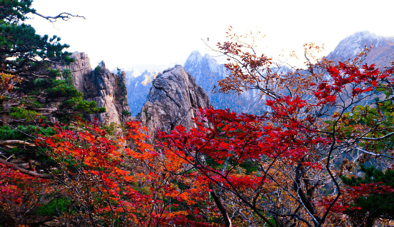 2024 설악산 단풍시기와 탐방코스 및 예약 방법