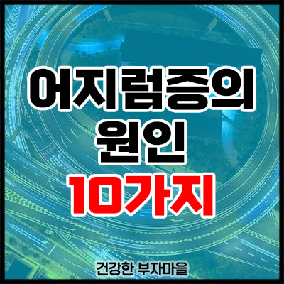 어지럼증의 원인