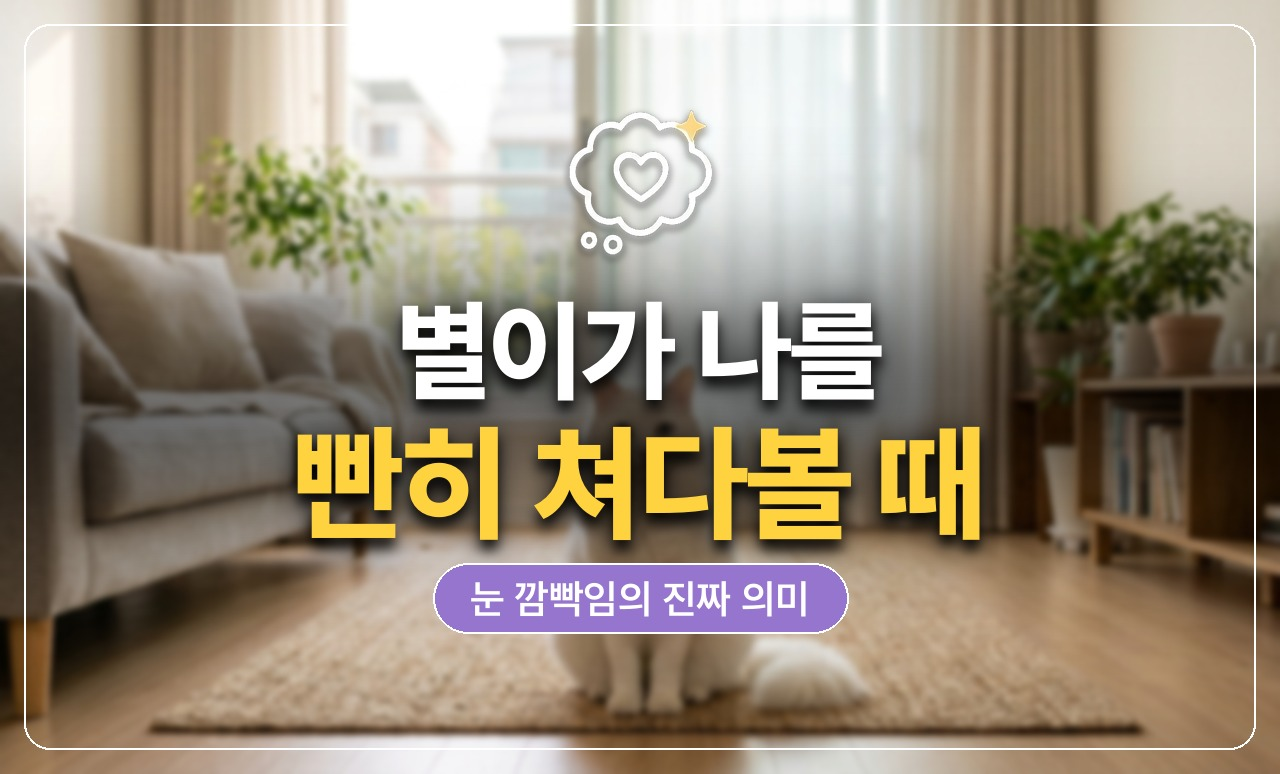 고양이 응시 의미