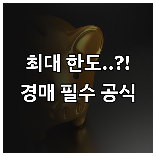 성공적인 경매 투자를 위한 경락잔금대..
