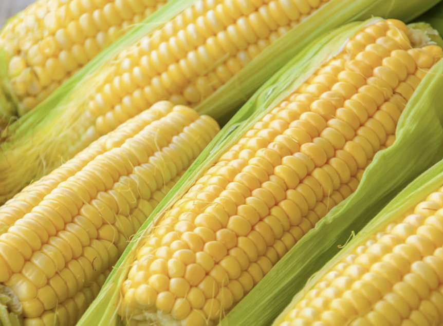 난소화성말토덱스트린