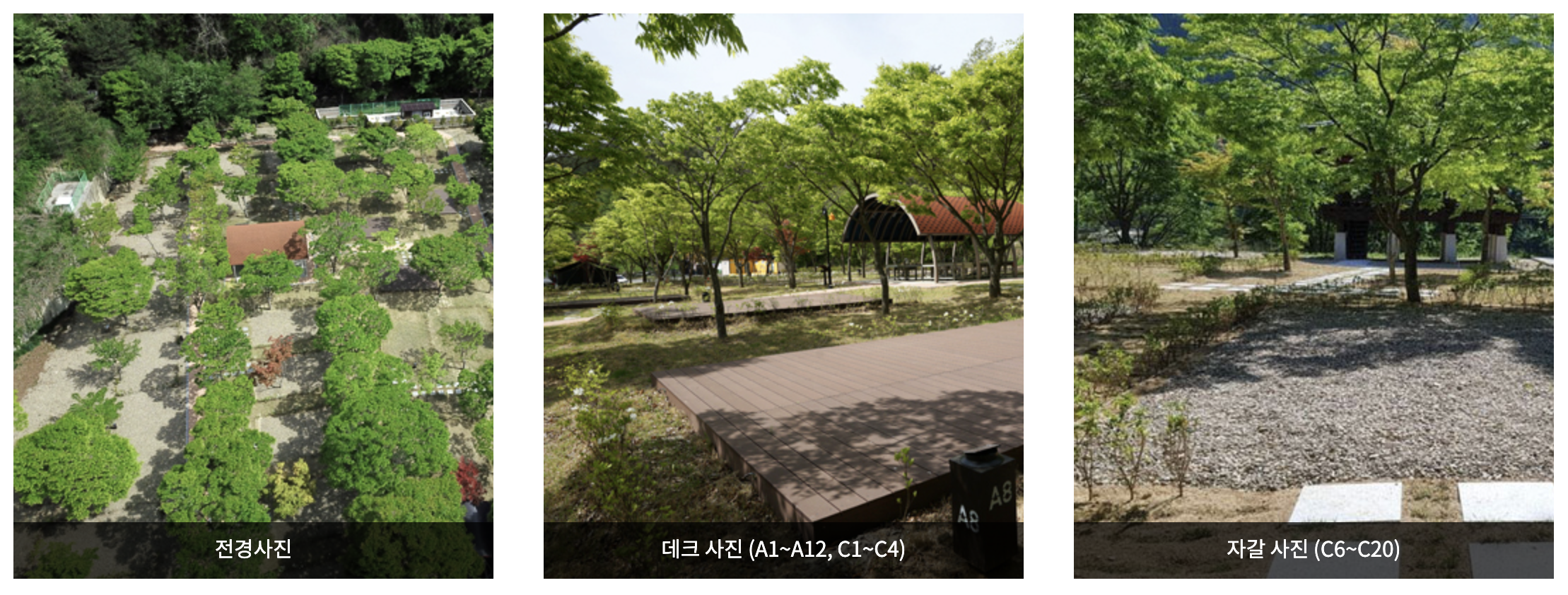 영양군 청소년수련원캠핌장 관련 사진