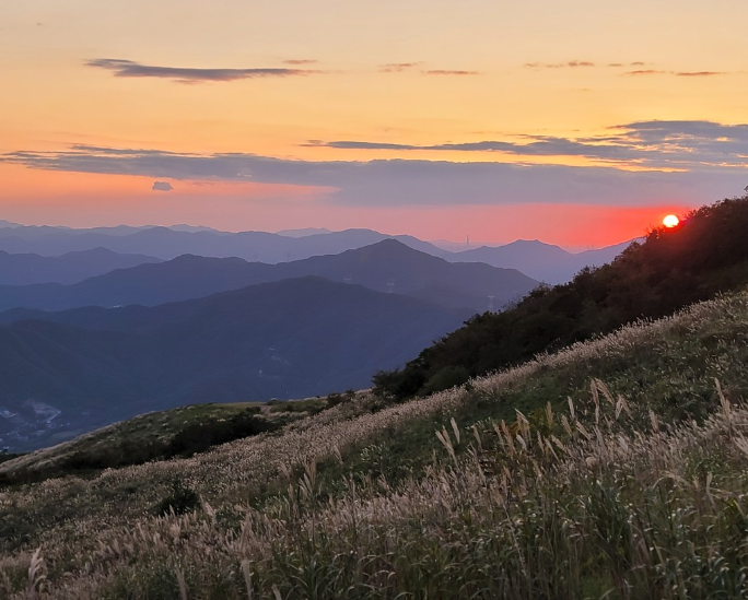엑스라이프 정보