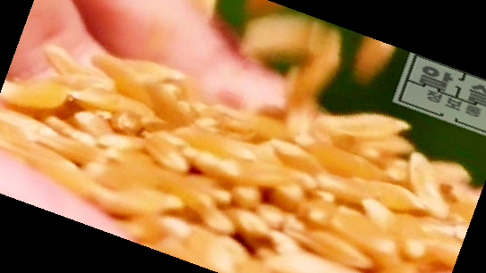 카무트 쌀 가루 효능