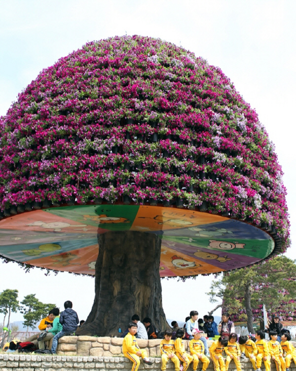 2025 함평나비축제