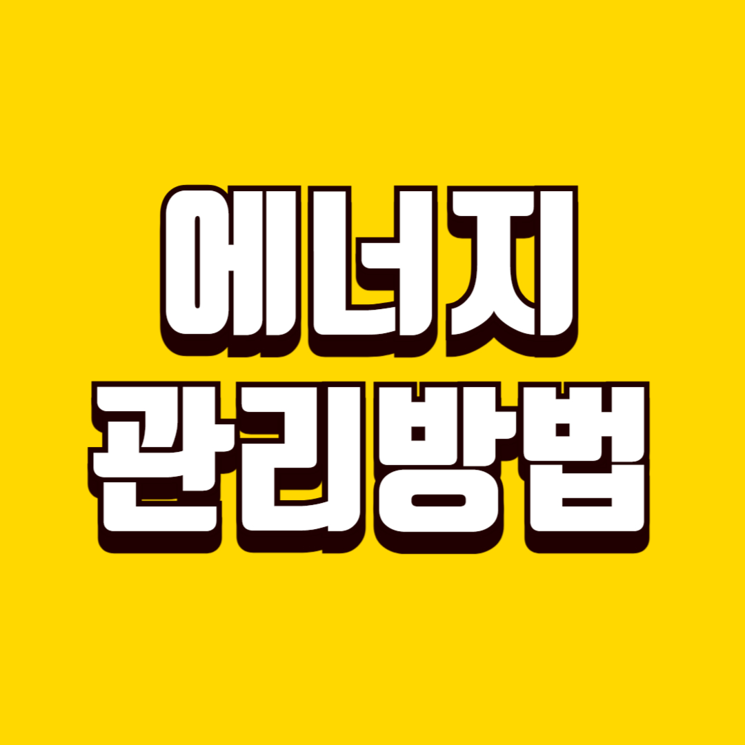 생활 에너지 관리 방법, 하루 컨디션 유지하는 요령