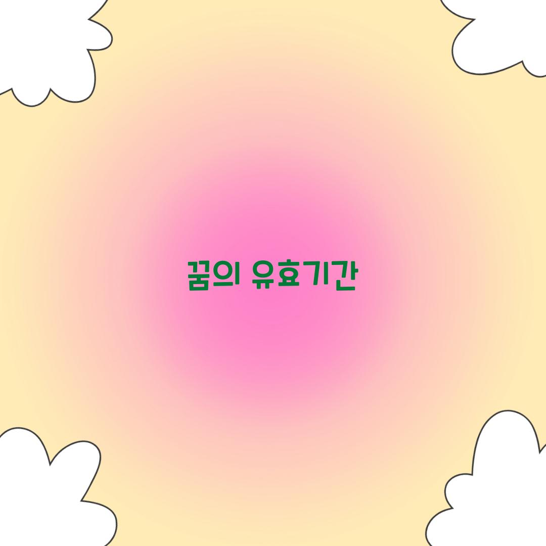 꿈의 유효기간