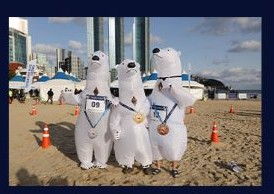 북극곰 RUNNING RACE