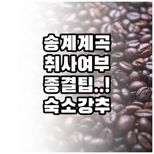 제천 월악산 송계계곡 물놀이 총정리 ..