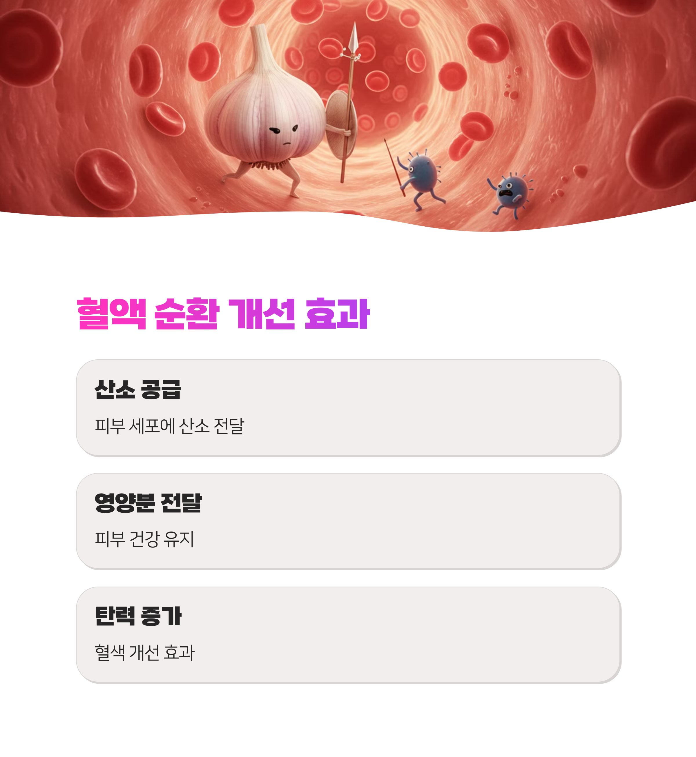 마늘의 피부 탄력 회복 효과와 섭취 방법