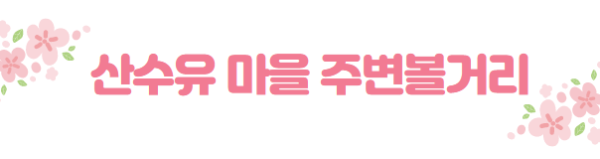 봄꽃 여행지