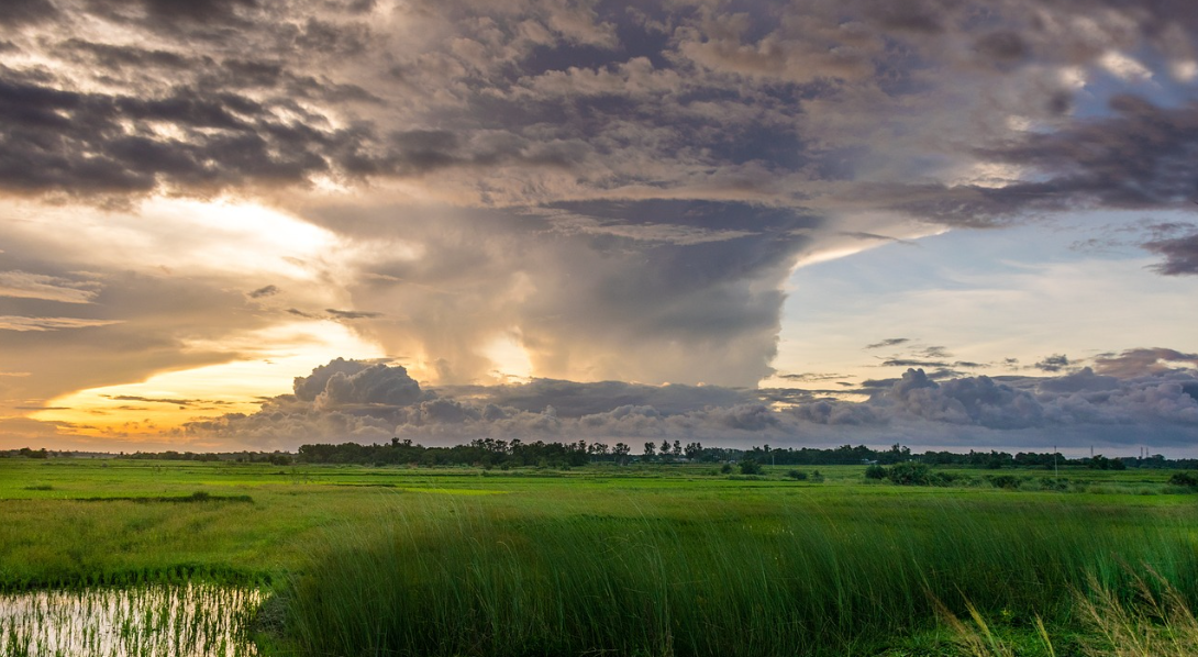 기후 변화와 식량 안보: 환경 변화가 식량 생산에 미치는 영향과 대응 전략