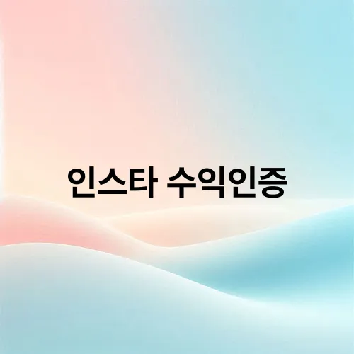 인스타 수익인증