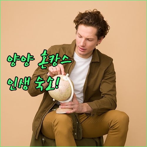 양양 호텔 베스트 5 1인 여행객 최..