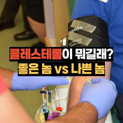 콜레스테롤이 뭐길래